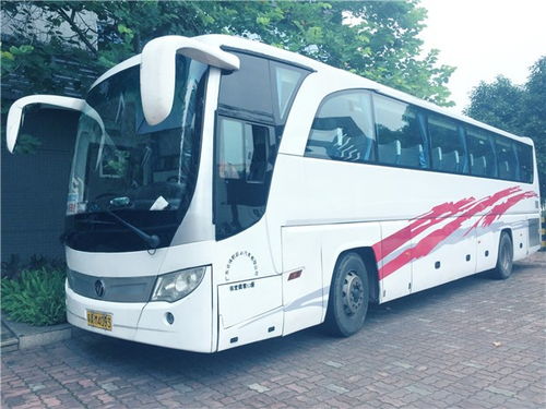 图 广州租车公司 旅游大巴车出租 上下班接送大巴车租车 广州租车